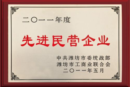 先進民營企業(yè).jpg